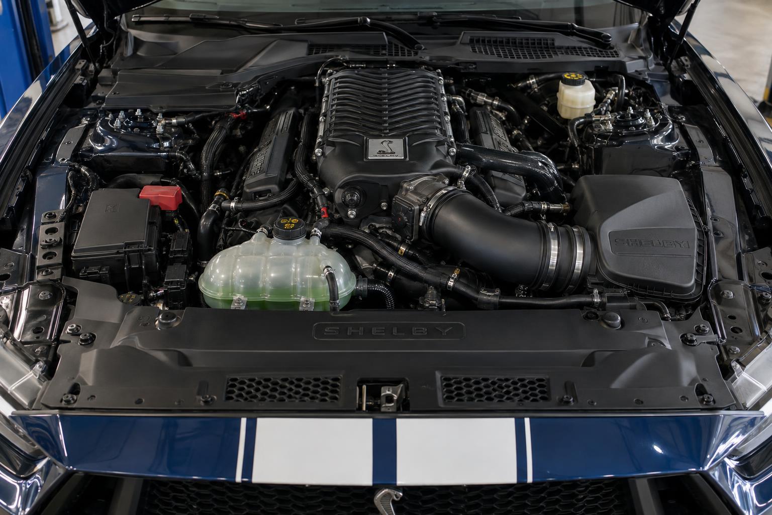 Close view of the supercharged V8 engine bay in a Shelby Mustang Super Snake.